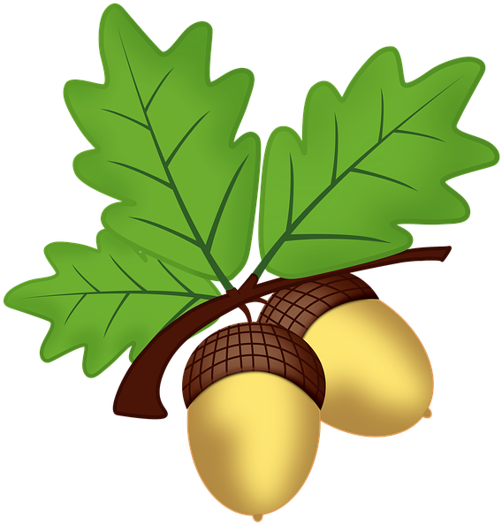 Acorn Oak Computer Icons Clip Art - Acorn (640x640)