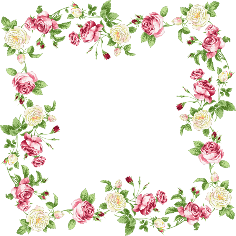 Molduras Para Artesanato - Transparent Floral Border (800x800)