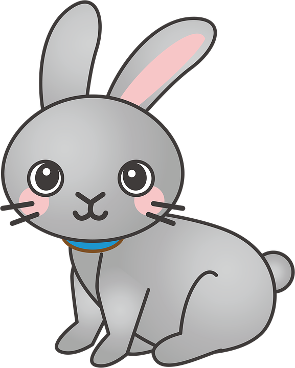 Rabbit, Bunny, Animal, Cute - Cartoon Rabbit (577x720)