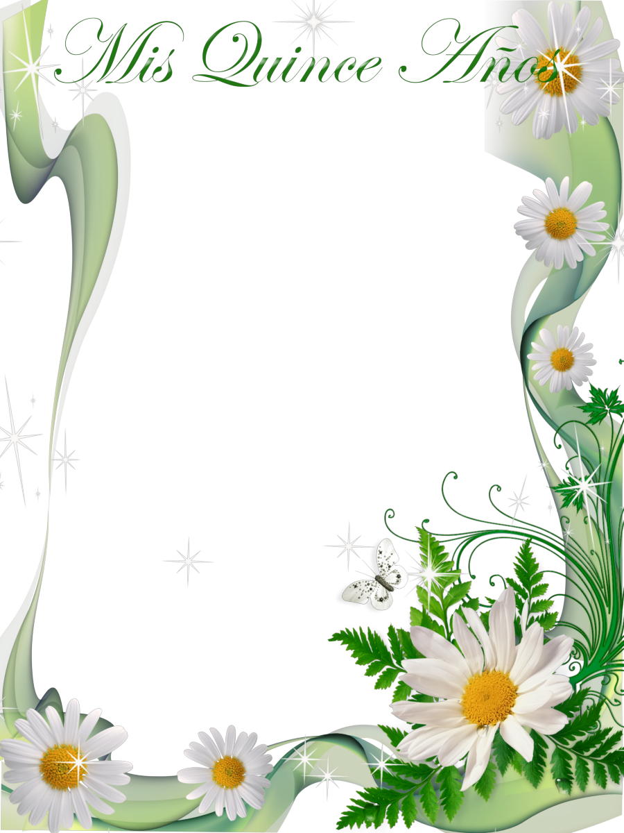 Marcos Para Fotos En Png De Quince Años - Marco 15 Años Png (900x1200)