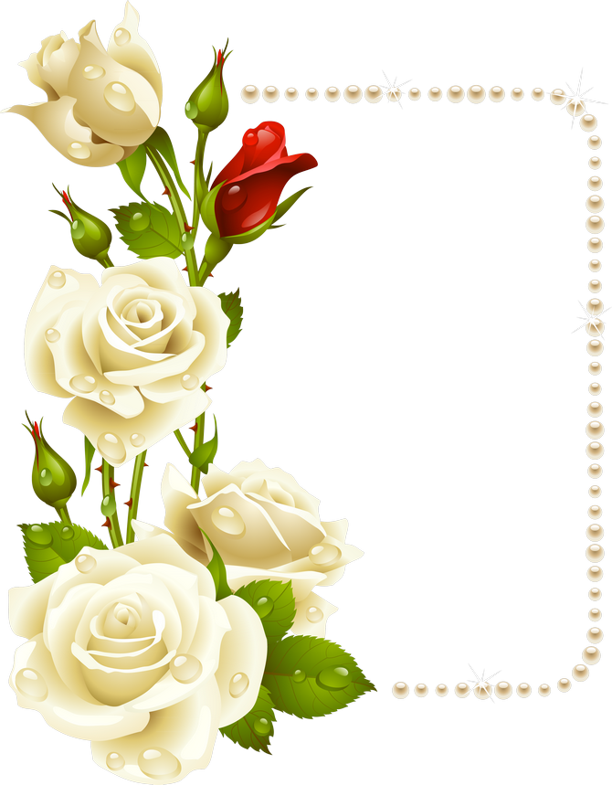 Rosas Blancas Png - White Roses Border Clipart (670x859)