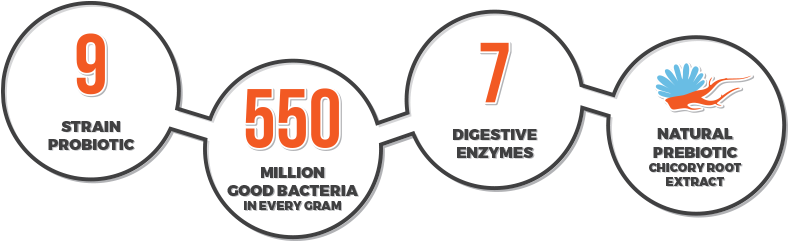 Synbiotic-icons1 - Cafepress Glider Sticker (800x252)