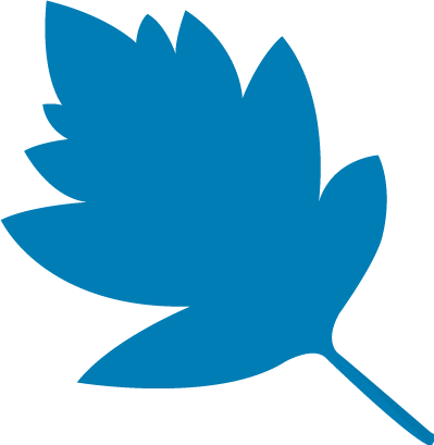 Starleaf Breeze Logo - Starleaf Cloud (399x409)