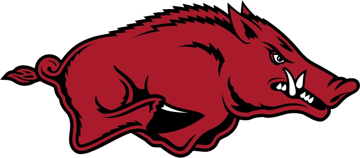 University Of Arkansas Razorback Quidditch - University Of Arkansas Razorbacks (1193x523)