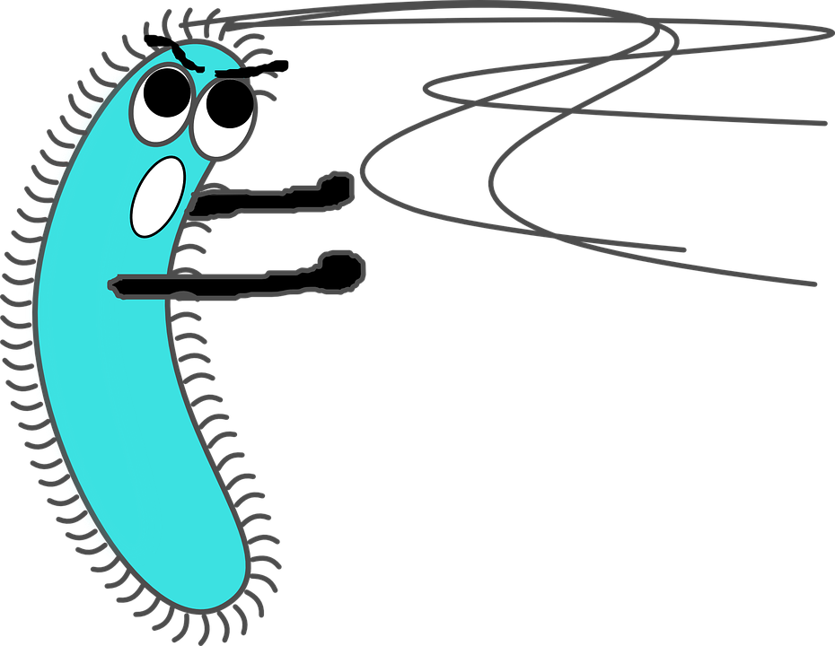 Cliparts Of Microorganisms 7, Buy Clip Art - Bacteria Clipart (930x720)