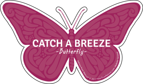 Advice From A Butterfly - Butterfly Die Cut (479x282)
