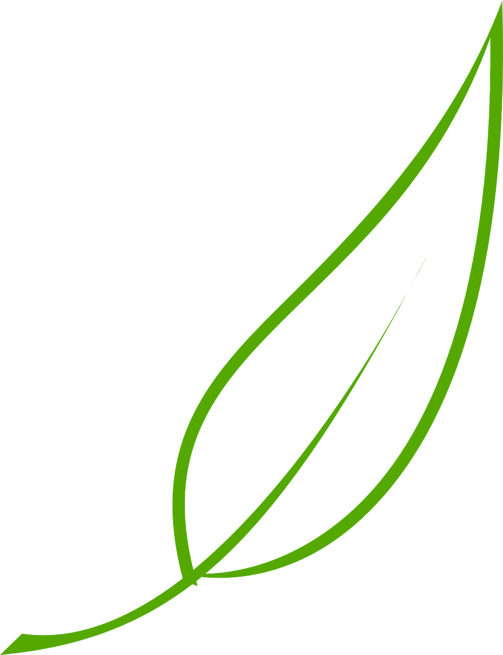 Leaf, Green, Tea, Olive, Graphic, Natural, Environment - Leaf Clipart Vector (982x1280)