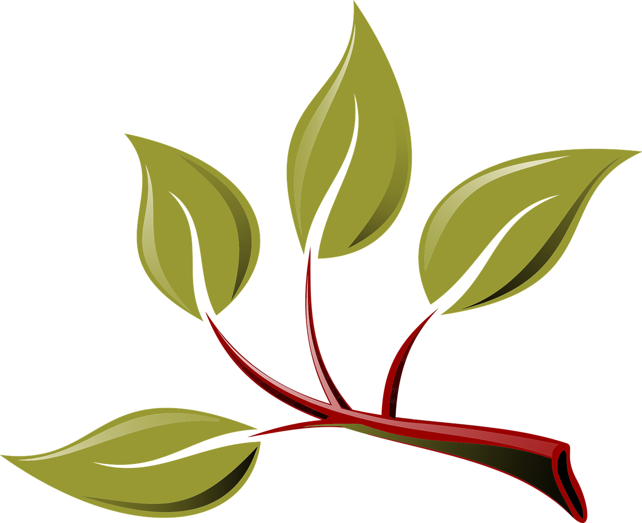 Leaf Branch Clip Art - Leaf Branch Clip Art (1280x1043)
