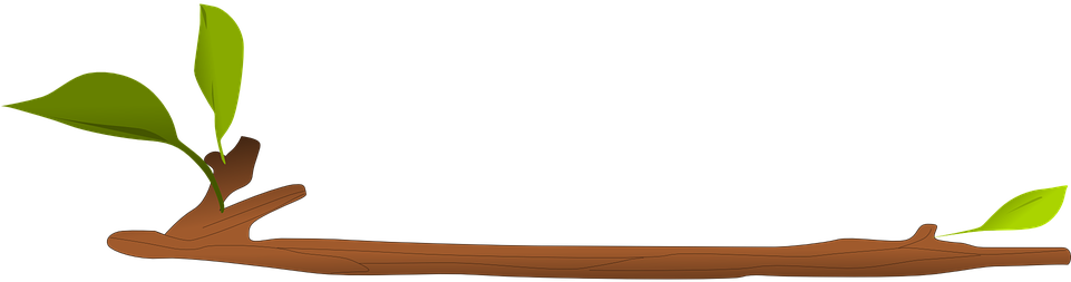 Free Vector Graphic - กิ่ง ไม้ Png (960x480)
