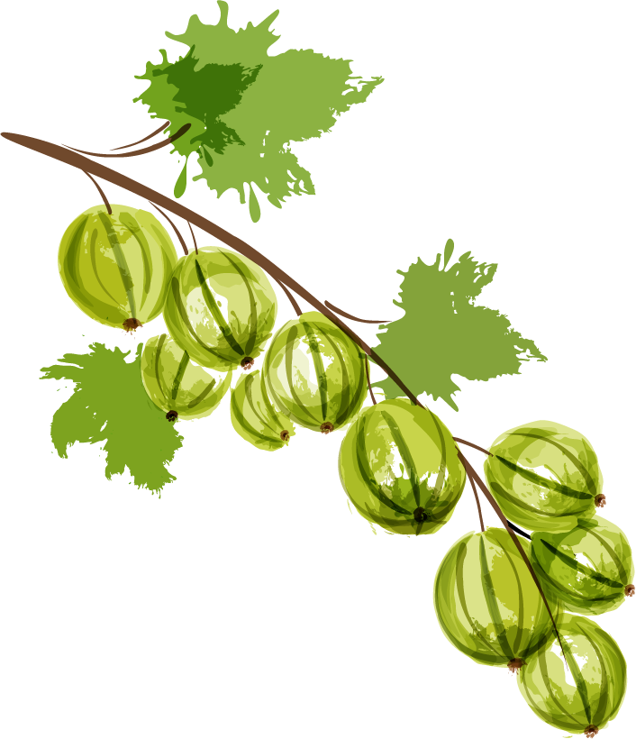 Auglis Cartoon Cherry Illustration - Auglis Cartoon Cherry Illustration (706x820)