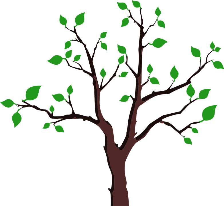 Cartoon Tree With Branches 19, Buy Clip Art - Tree With Sparse Leaves (782x720)