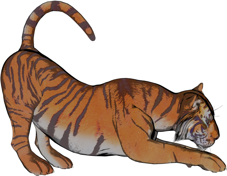 Tiger Pose 3 Of A Gazillion By Madetobeunique On Clipart - Tiger Pose 3 Of A Gazillion By Madetobeunique On Clipart (900x720)