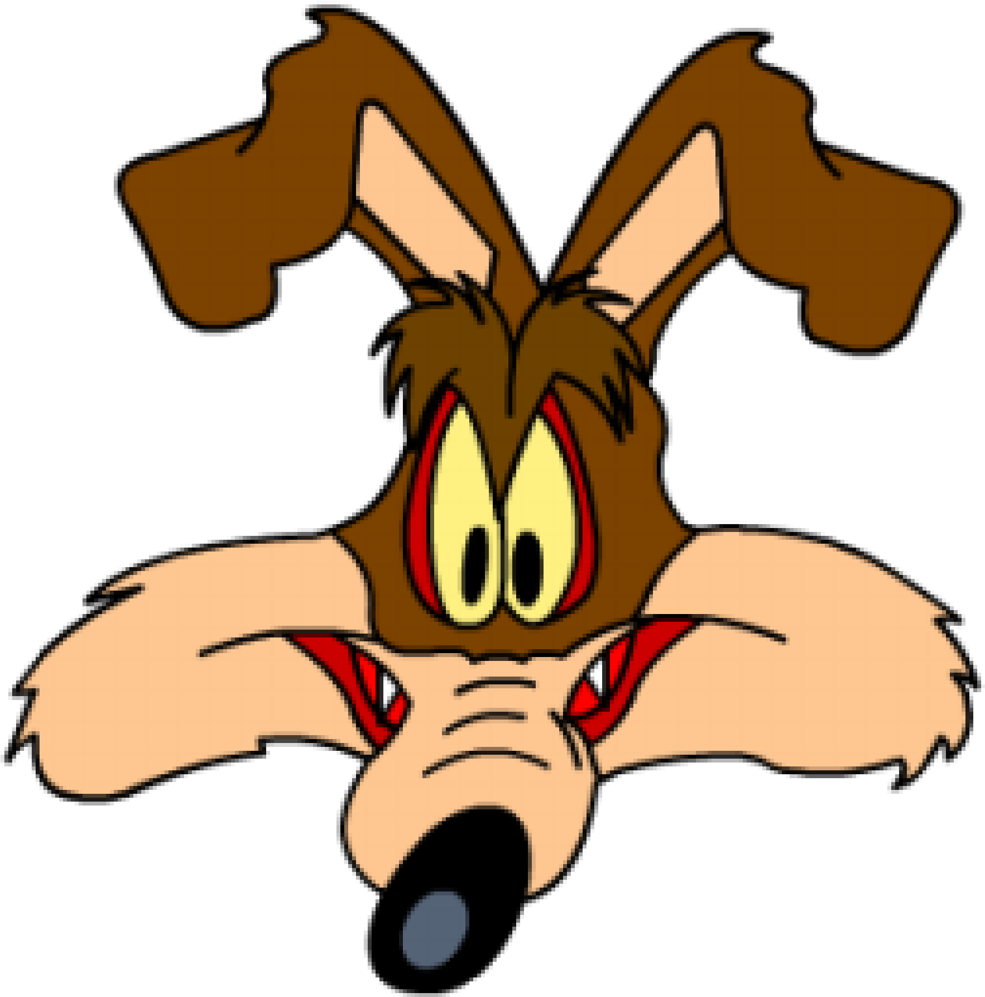 Coyote And The Road Runner Looney Tunes Animation - Wile E Coyote (2048x2048)