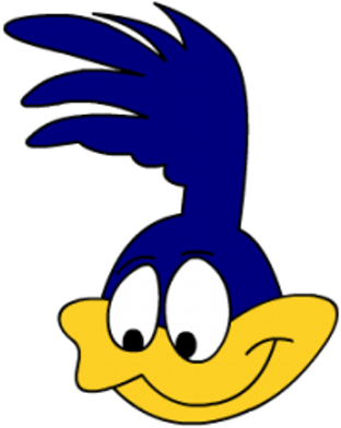 Roadrunner - Road Runner Icon (480x360)