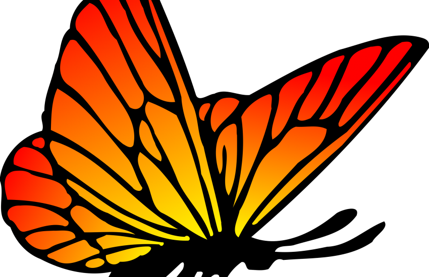 Mariposa Gratis Clipart Imágenes De Arte Clip - Drawing (850x550)