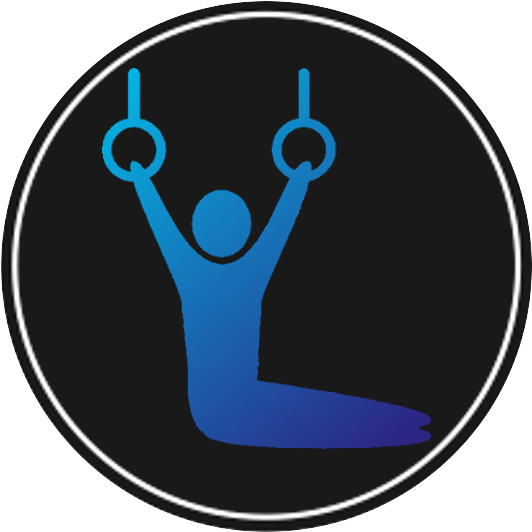 College Gymnastics Recruiting - Furkan Vakfı (557x554)