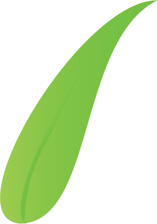 Eucalyptus Logo By Ducklair - Logo Eucalyptus (319x455)