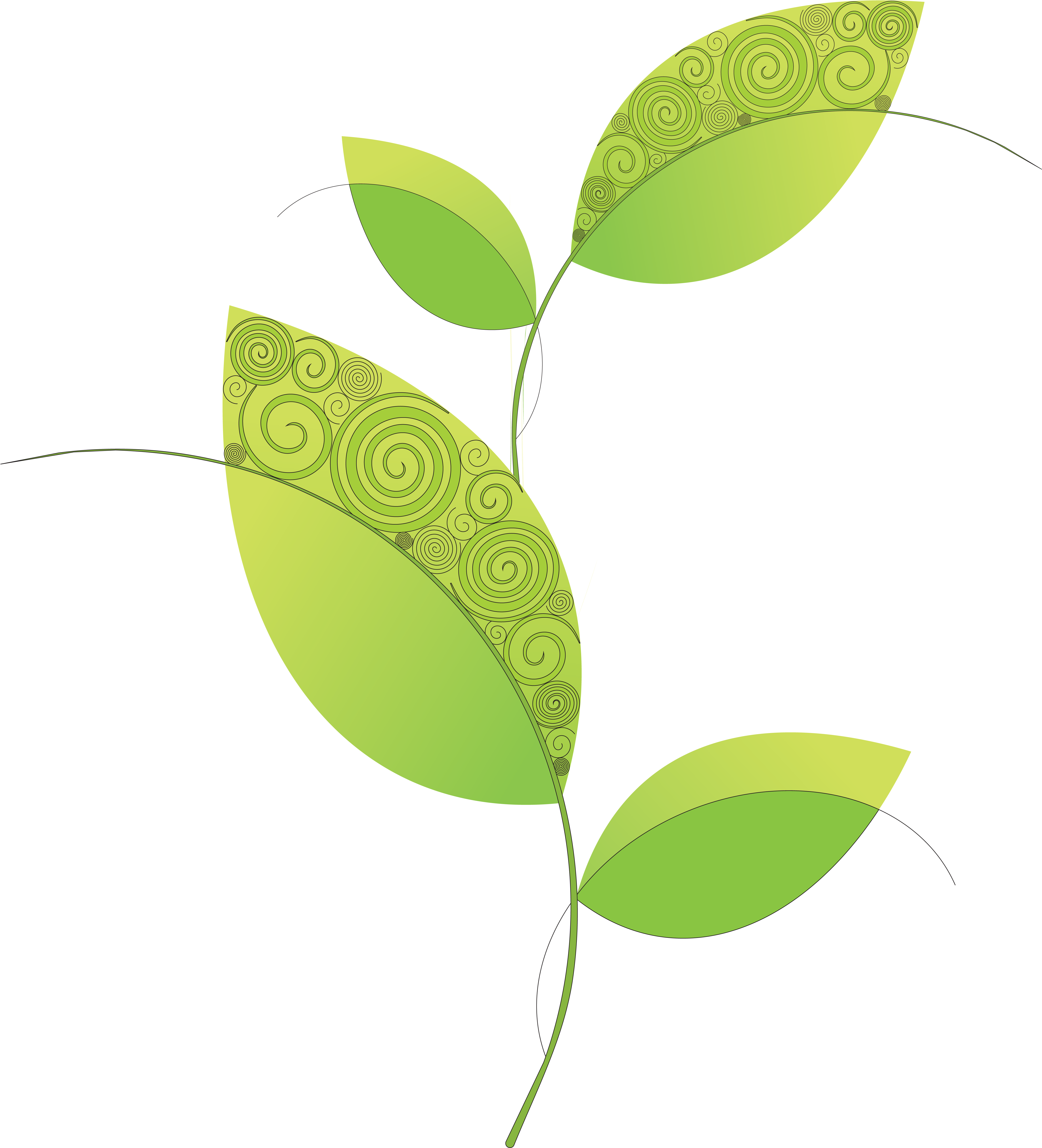 Computer Icons Leaf Clip Art - Computer Icons Leaf Clip Art (5130x5672)