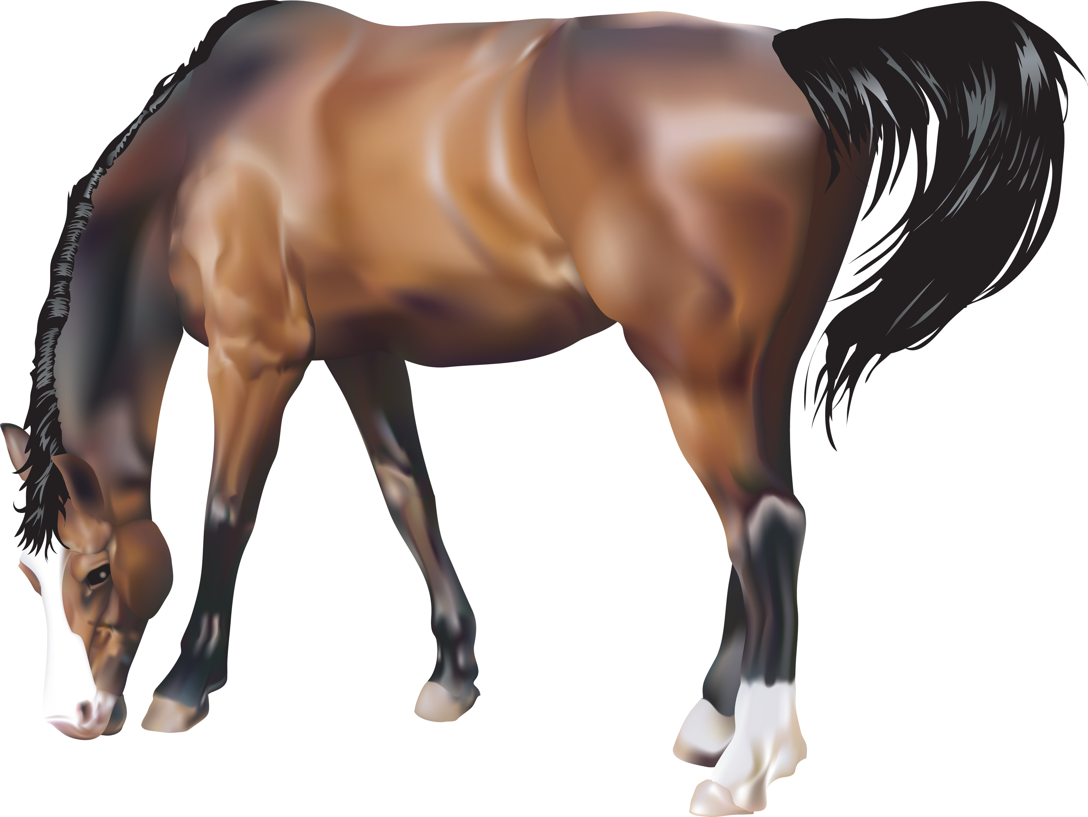 Animals Png Free Download (3519x2644)