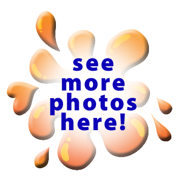 We Also Proudly Offer - We Also Proudly Offer (354x356)