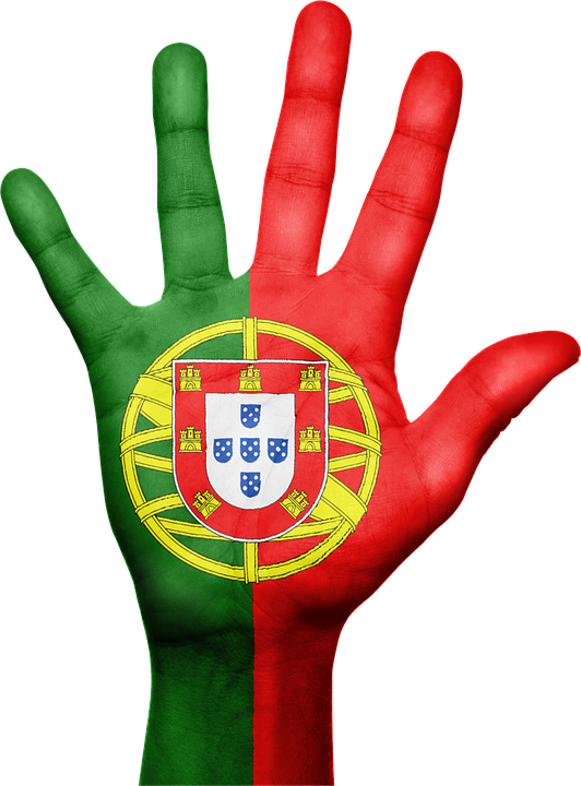 Portugal Flag Png (532x720)