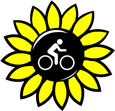 Driver Convicted Of Reckless Aggravated Battery In - Coloring Book (500x500)