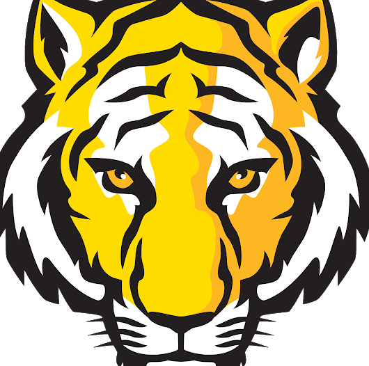 Photo - Tiger Face Drawing Easy (530x526)