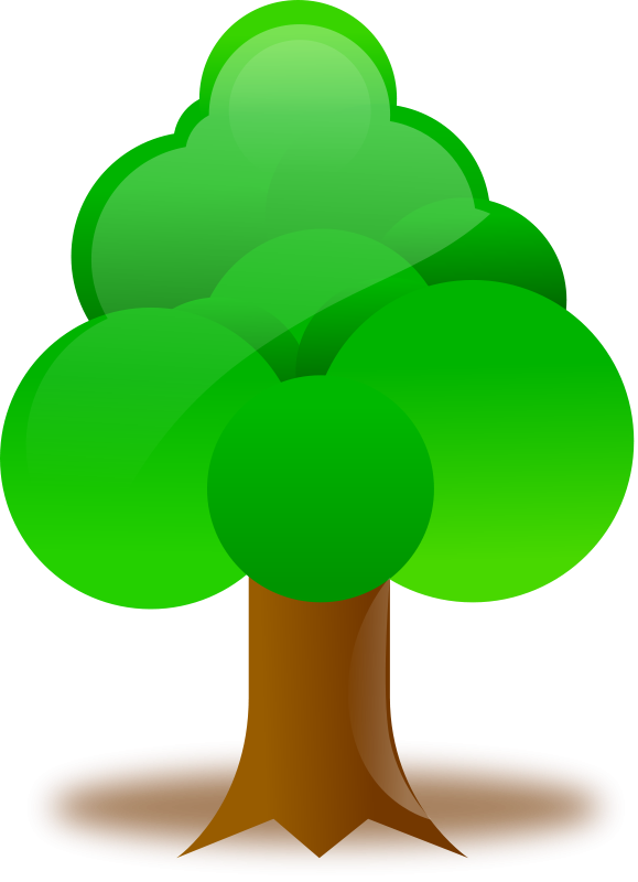Tree Clipart Free - Trees Png On Flat (579x800)