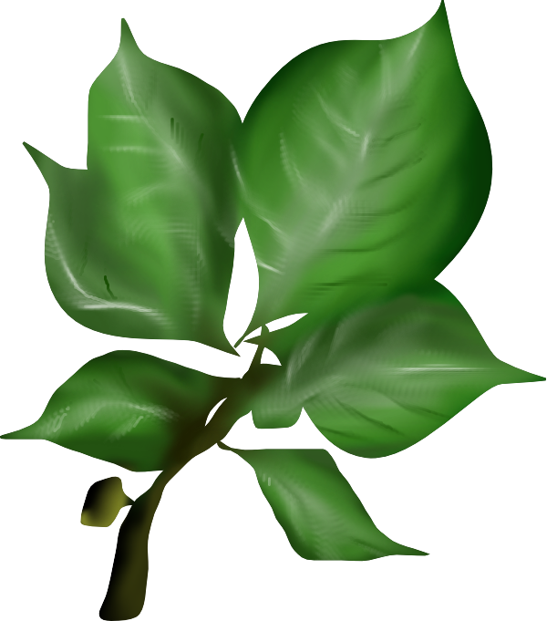 If You Want To Have A Closer Look At The Finished Textures, - If You Want To Have A Closer Look At The Finished Textures, (600x681)