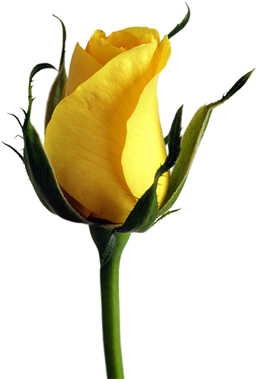 This Example Finds All Transparent Pixels In A Png - Good Morning Images Hd (400x600)