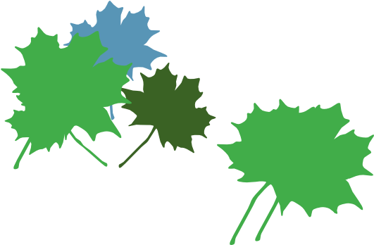 Maple Leaf Clip Art (600x347)