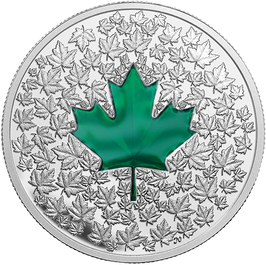 Valour, Perseverance, Diversity - 2014 Fine Silver 20 Dollar Coin - Maple Leaf Impression (570x570)