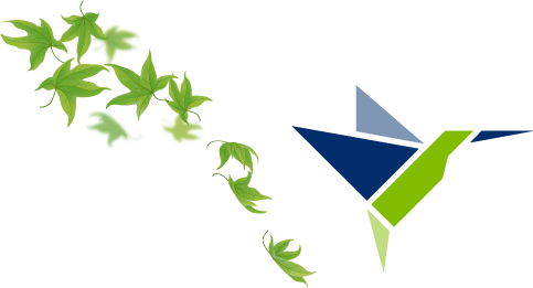 Maple Leaves & Camsa Bird - Vector Graphics (483x261)