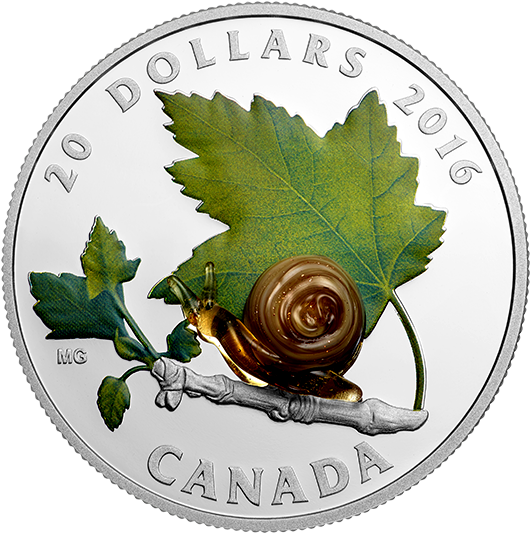 Designed By Canadian Artist Maurice Gervais, This Coin - Snail Coin Canada (570x570)