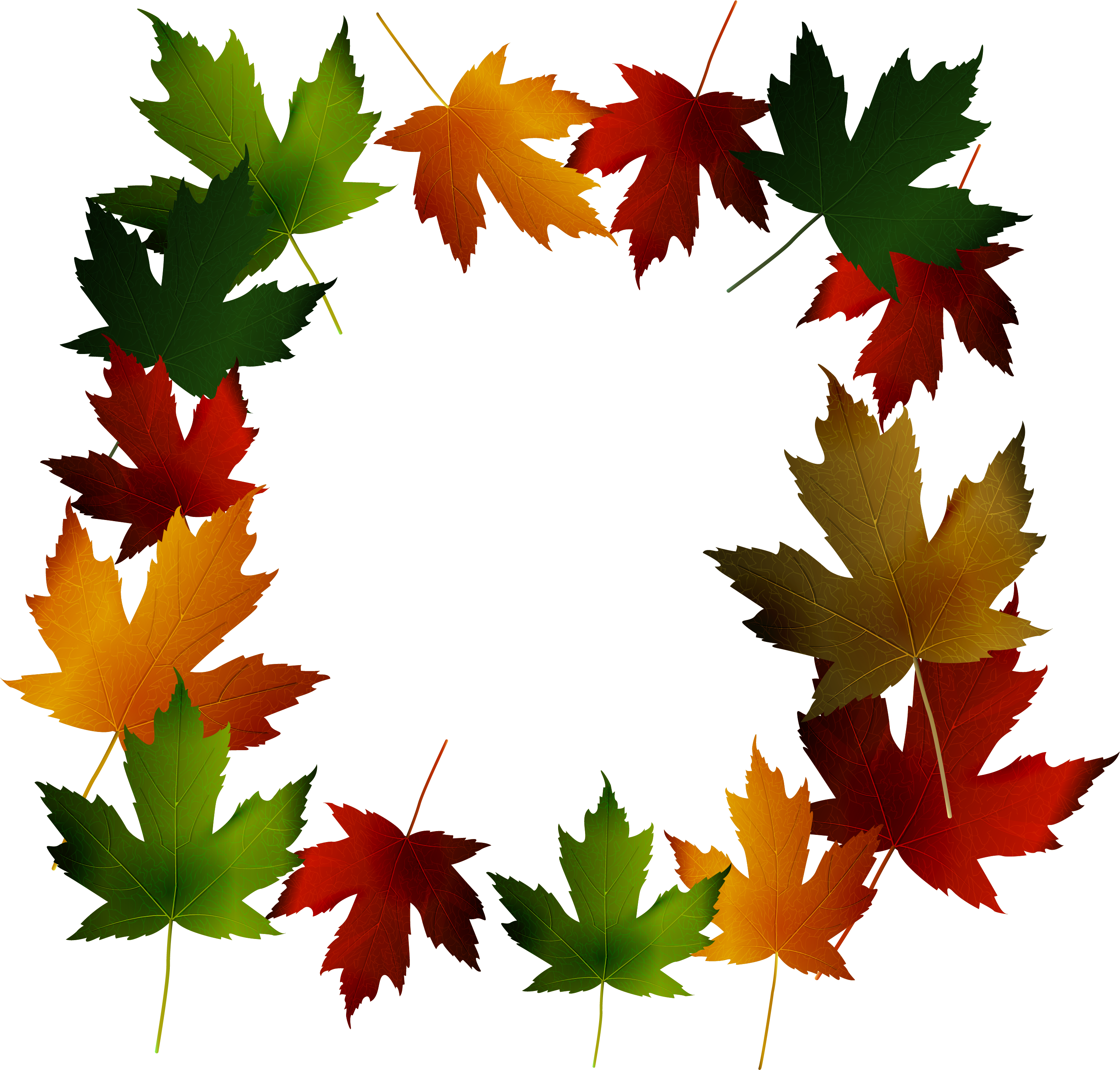 Maple Leaf Green - Maple Leaf Green (3001x2933)