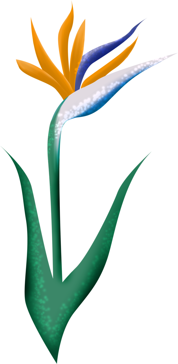 Tropical Printssummer Parties - Thank You Wedding Party Card (637x1280)