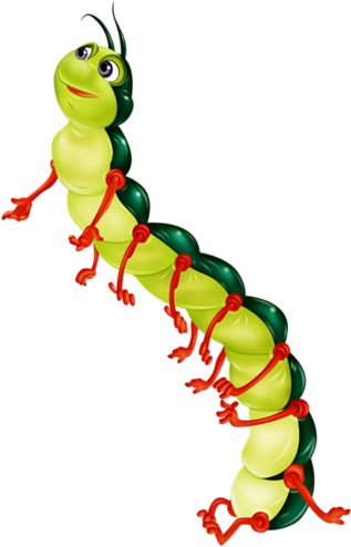 Album - Chenille Dessin Couleur (560x800)