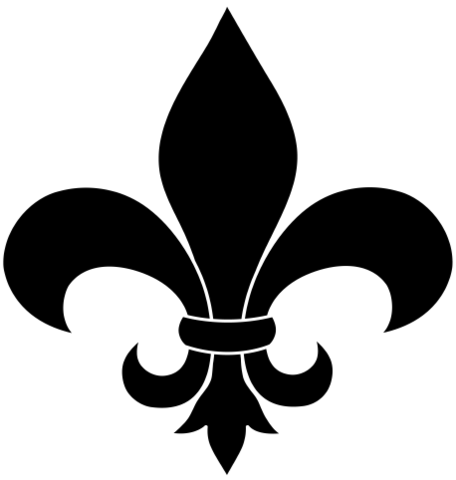 Fibreluxe Lashes, Fiber Mascara Long Luxurious Lashes - Black Fleur De Lis (456x480)