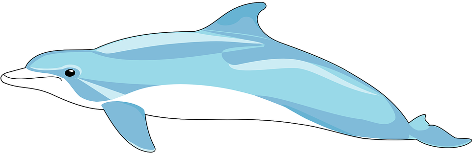 Bottlenose Dolphin Clipart Mammal - Lumba Lumbs Png (960x480)