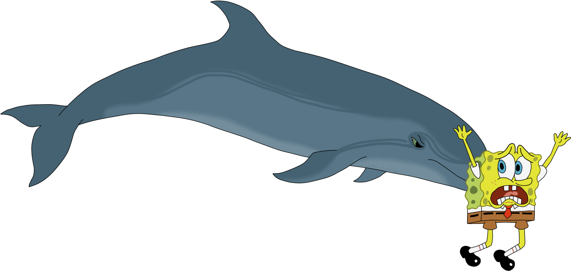 Dolphin Black And White Clipart - Bottlenose Dolphin (2045x989)