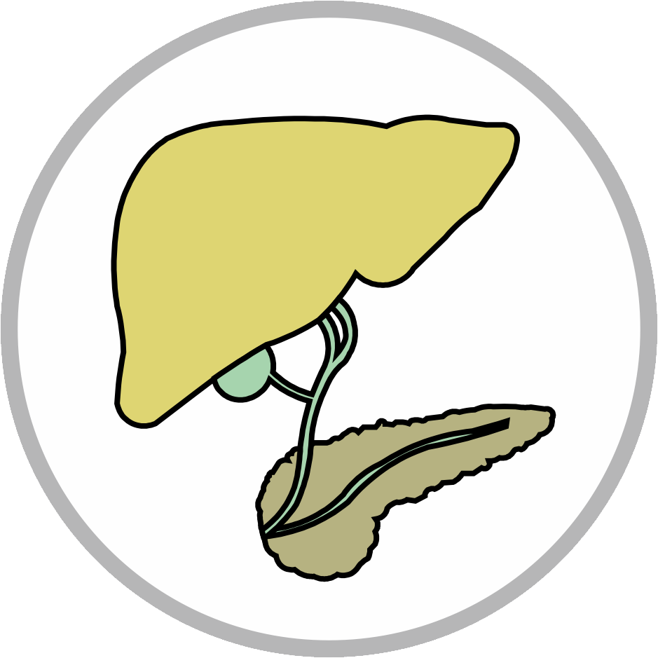 Hbp - Imagenes Gif De Android (939x939)