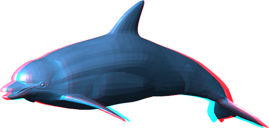 Dolphin - Dolphin Png (969x475)