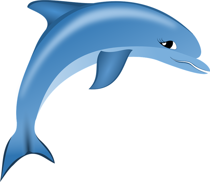 Dolphin Vector Art 12, Buy Clip Art - Ca Heo Hoat Hinh (830x720)