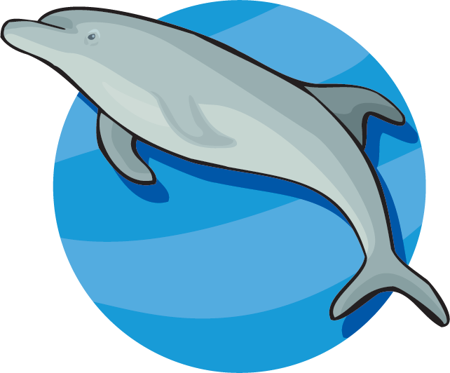 Bottlenose Dolphin Clipart Endangered - Dolphin Large Wall Clock (642x532)