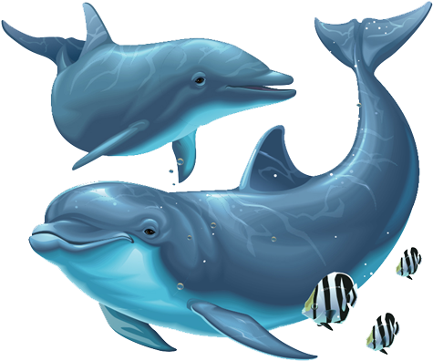 Dolphin - Dolphins Under The Sea (556x480)
