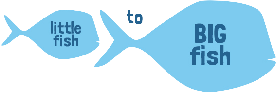 Little Fish To Big Fish - Graphic Design (588x257)