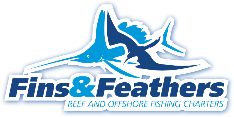 Fins & Feathers, Reef And Offshore Fishing Charters - Fins & Feathers, Reef And Offshore Fishing Charters (822x412)