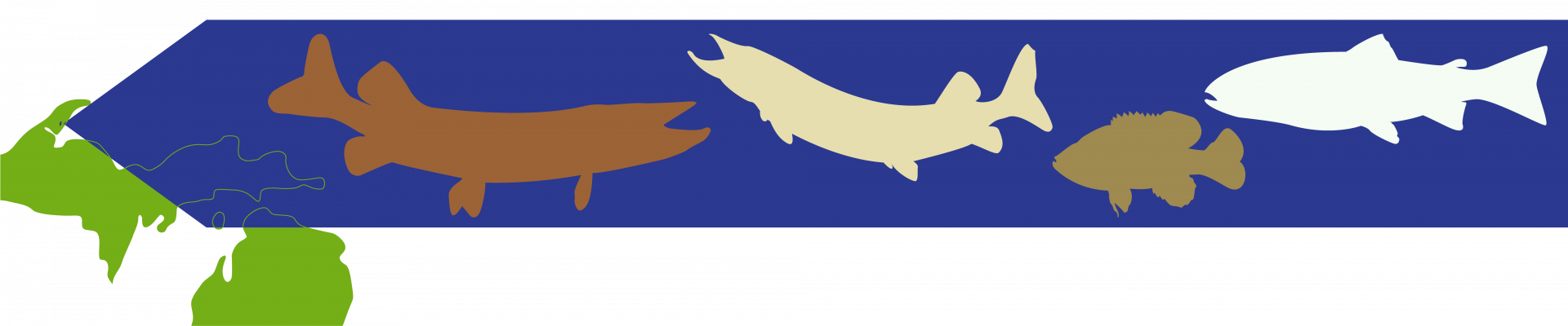 If You're Looking For A Good Haul Of Pike, Head Up - Cetacea (1920x400)