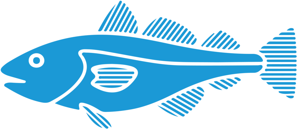 Local Fish Wildlife - Vector Graphics (1000x449)