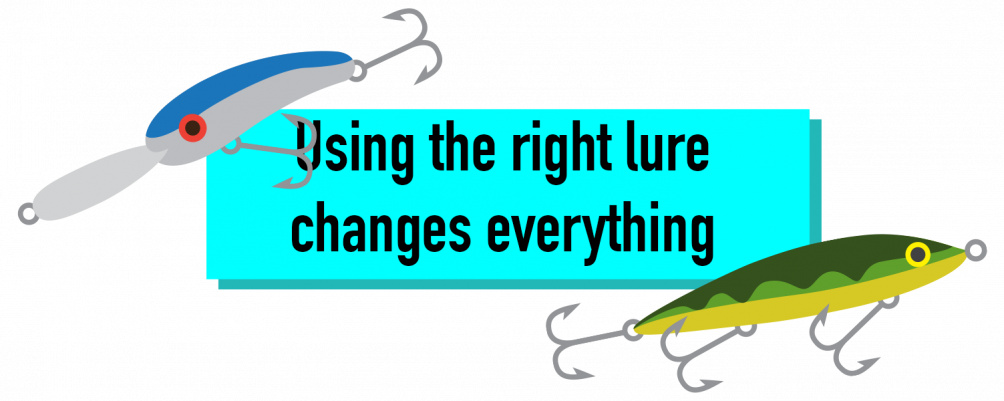 There Are Numerous Different Types Of Lures Of Each - My Mentor (1004x401)